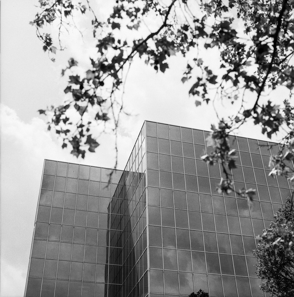 Rollie RPX 100 / Rodinal&nbsp;1:50