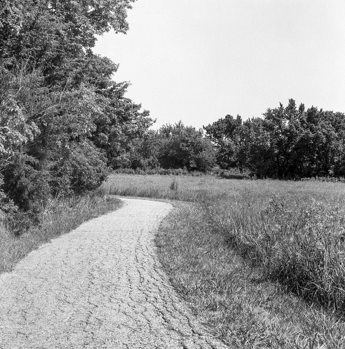 A walk in the park(s)