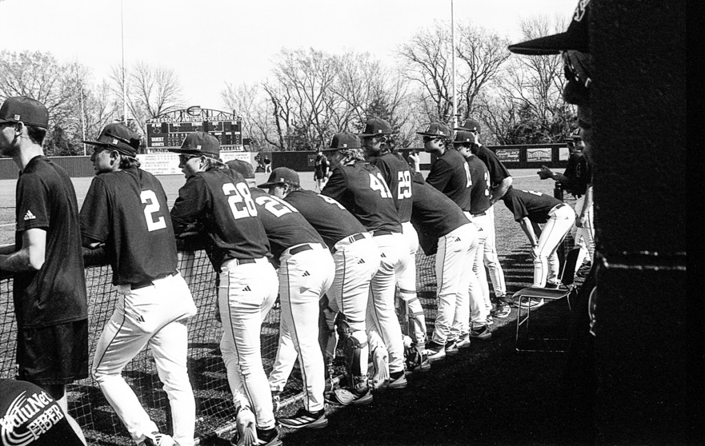 Canon P – Canon 50mm /&nbsp;f1.4